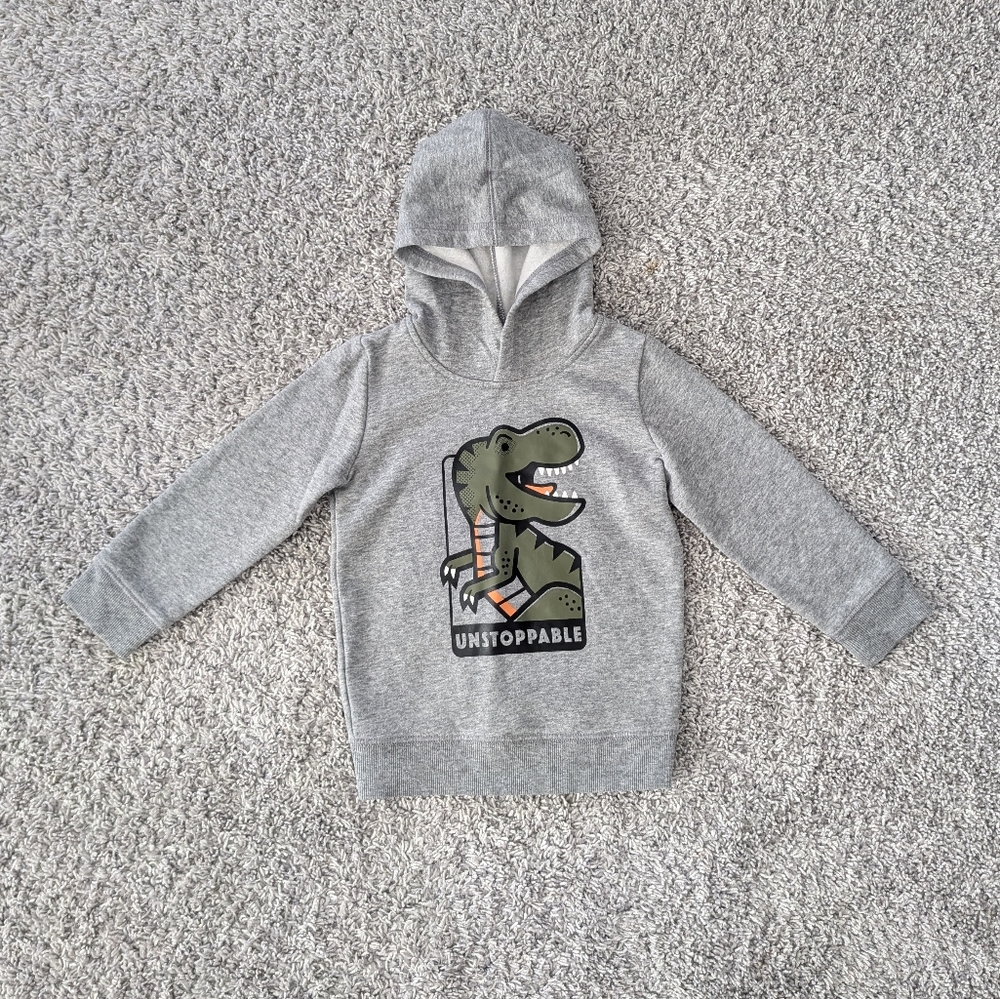 Baby boys hoodie Dinosaur sweatshirt
